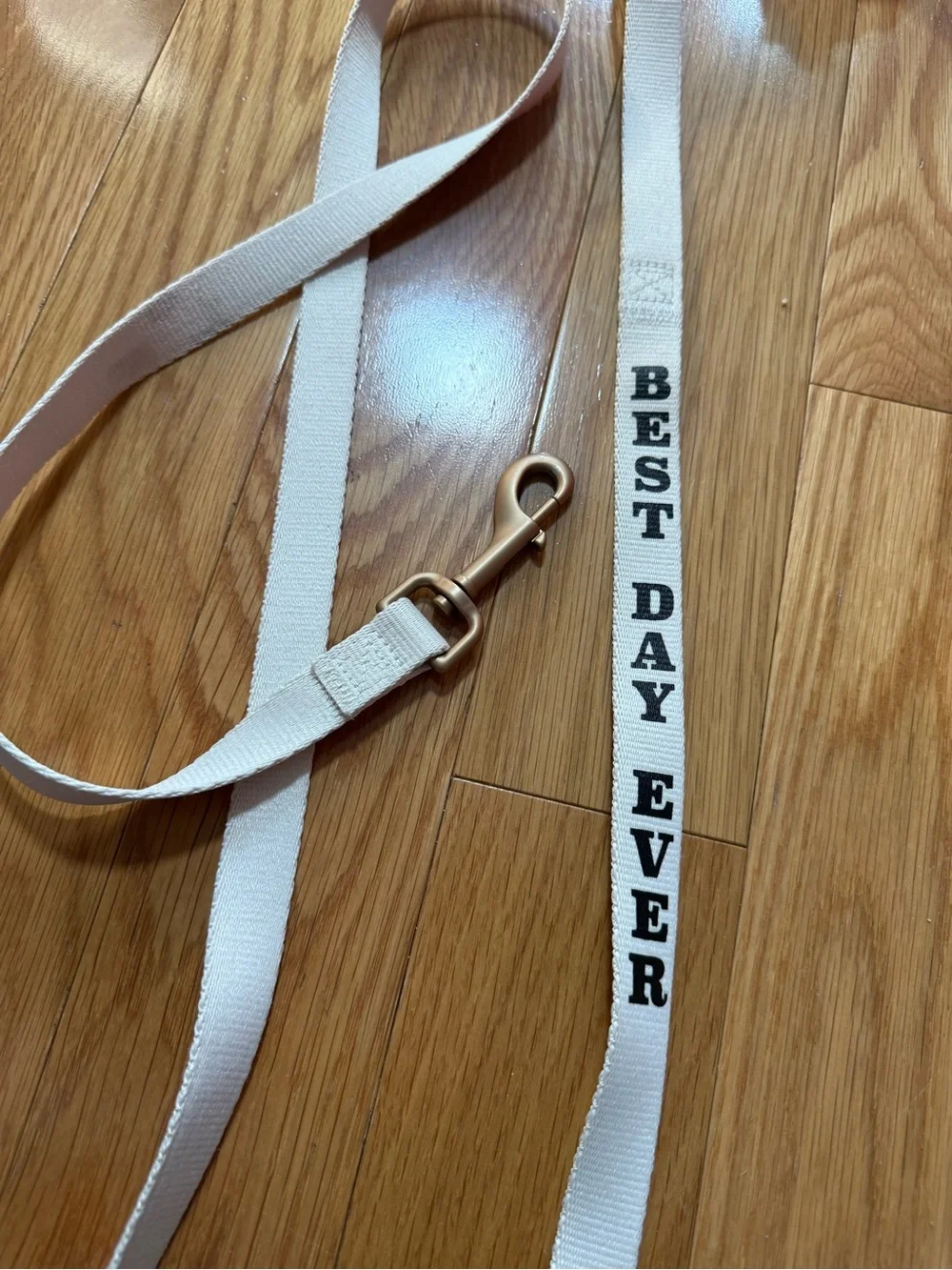 'Best Day Ever' White Cotton Dog Leash with Brass Clip
